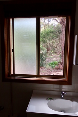 View out bathroom window
